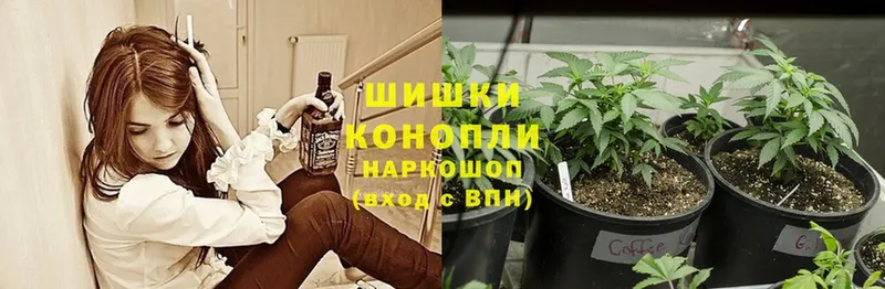 Бошки марихуана THC 21%  Челябинск 